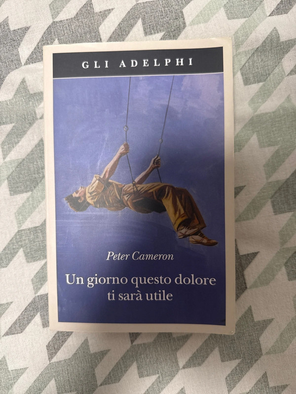 Un giorno questo dolore ti sará utile - Peter Cameron