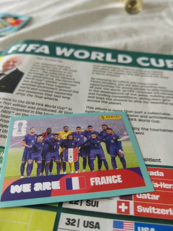 Carte panini FIFA fra 13