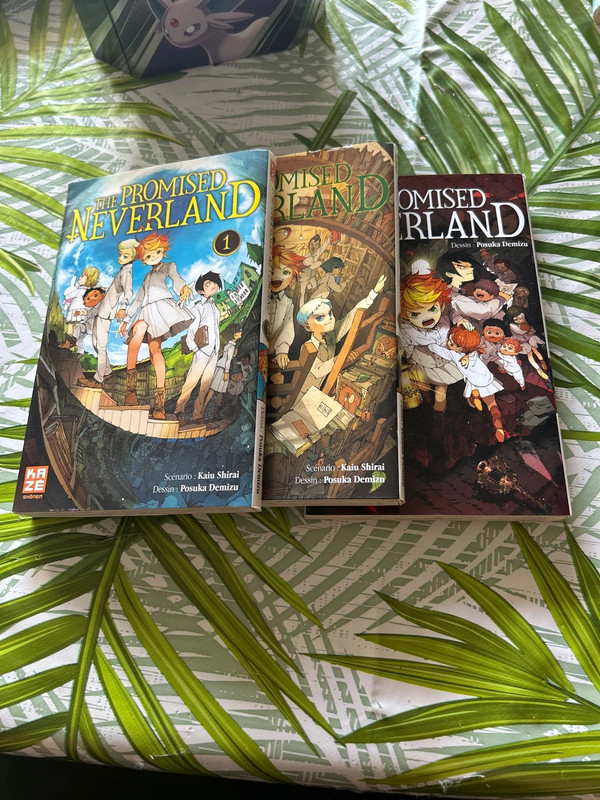 Lot des trois tom the promised nerverland