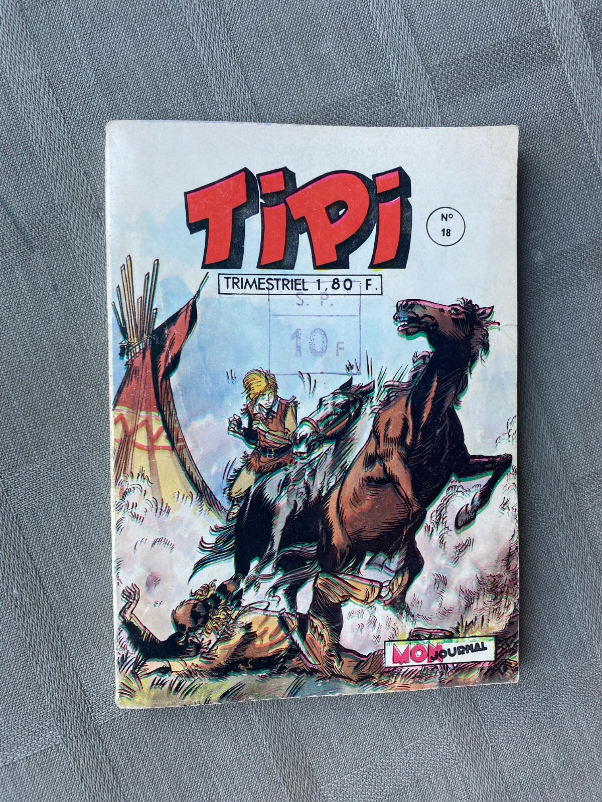 Tipi N°18 Il Tesoro Del Cervo Bianco In Buone Condizioni