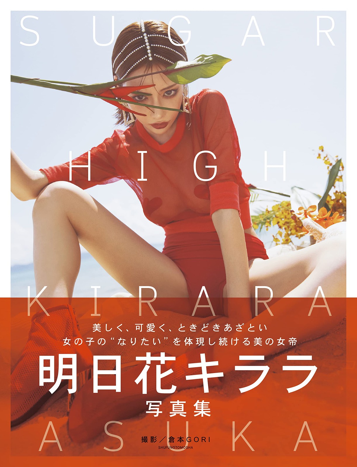 SUGAR HIGH forma libro JP