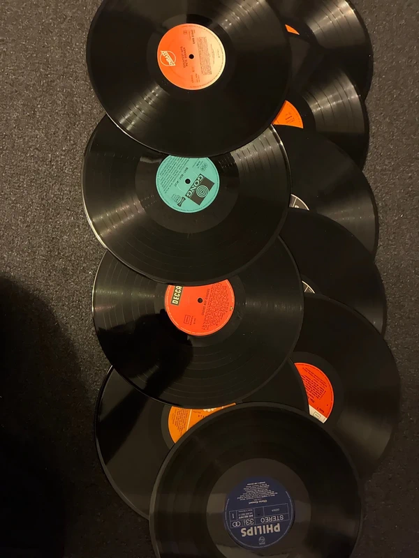 10 Deko Schallplatten 12“