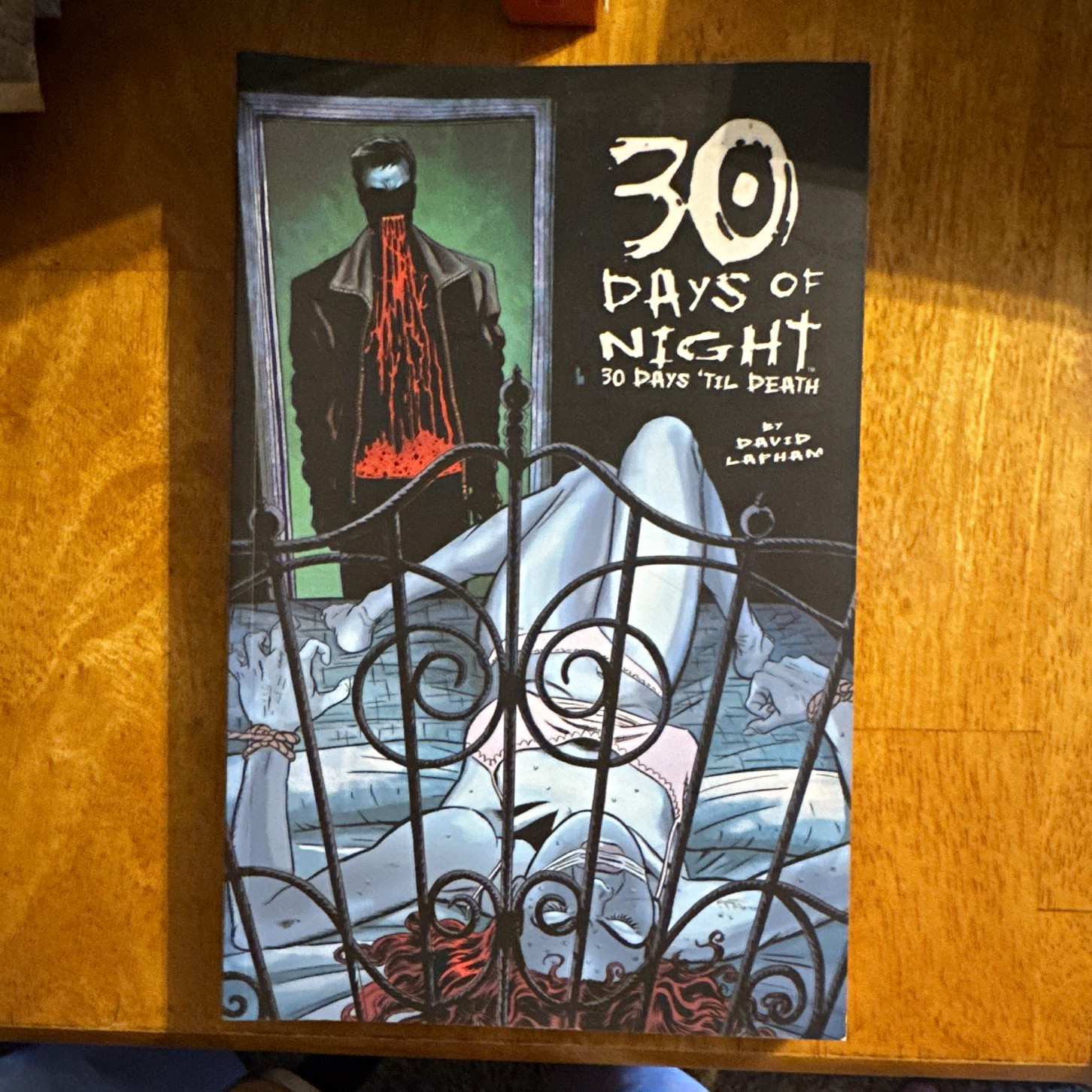 IDW 30 Days of Night: 30 Days 'Til Death Trade Libro in brossura David Lapham
