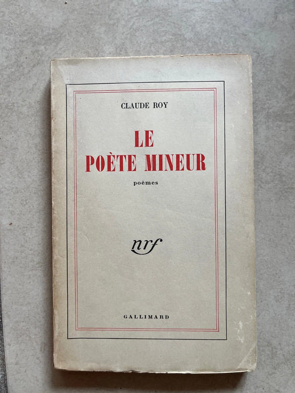 Le poète mineur
