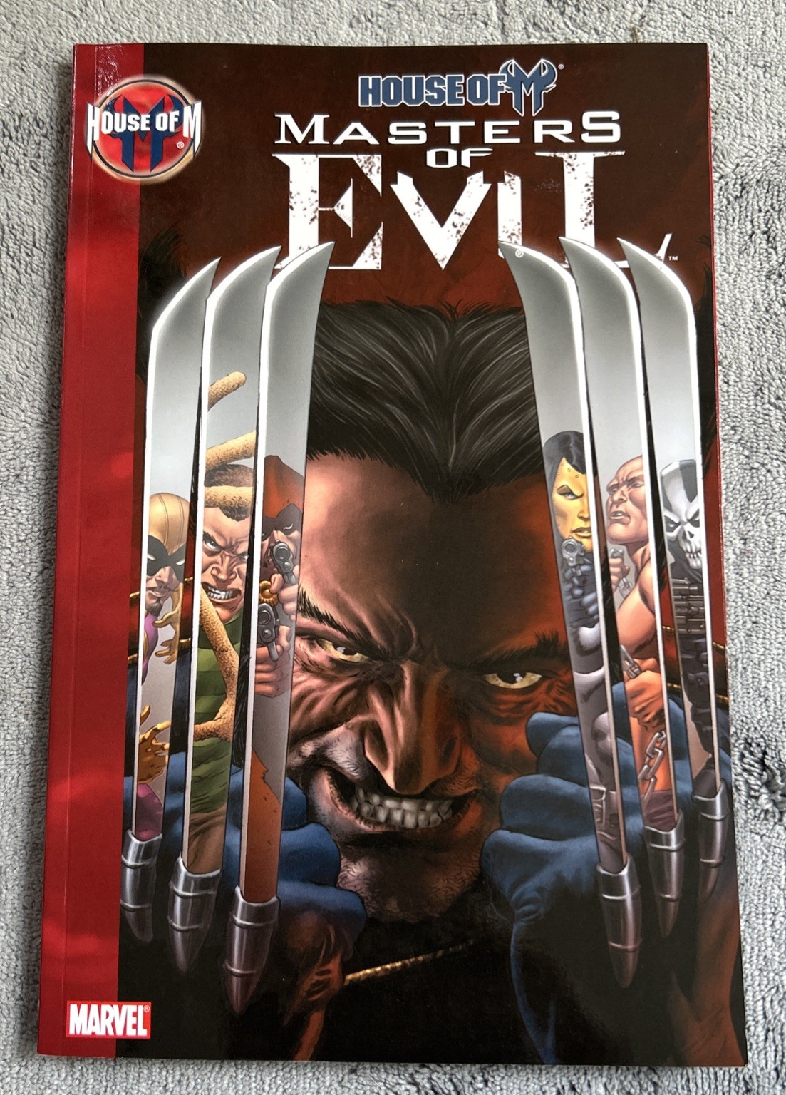 House of M: Masters of Evil - 2010 Marvel TPB - very good Condition