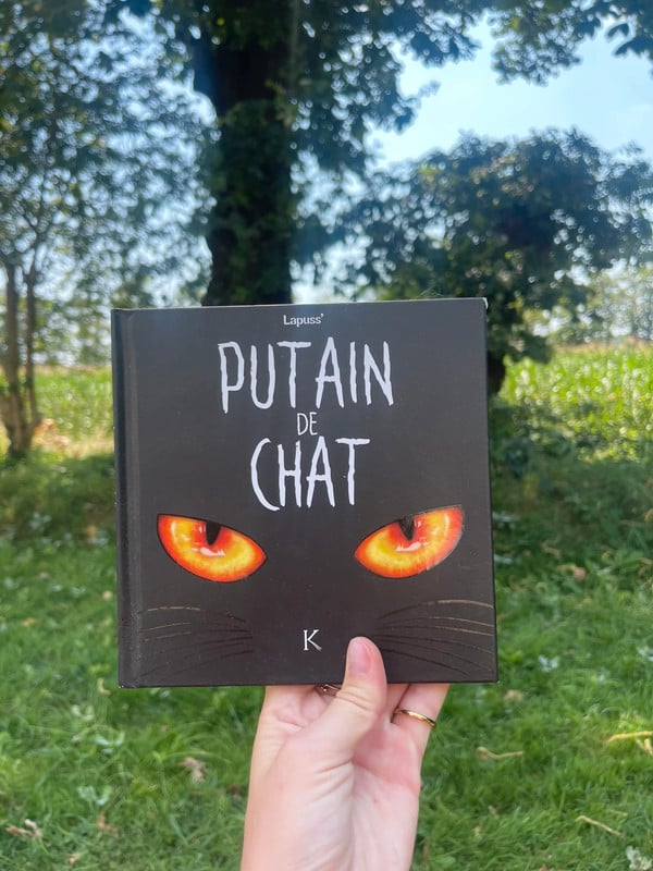 🌸 BD putain de chat 🌸