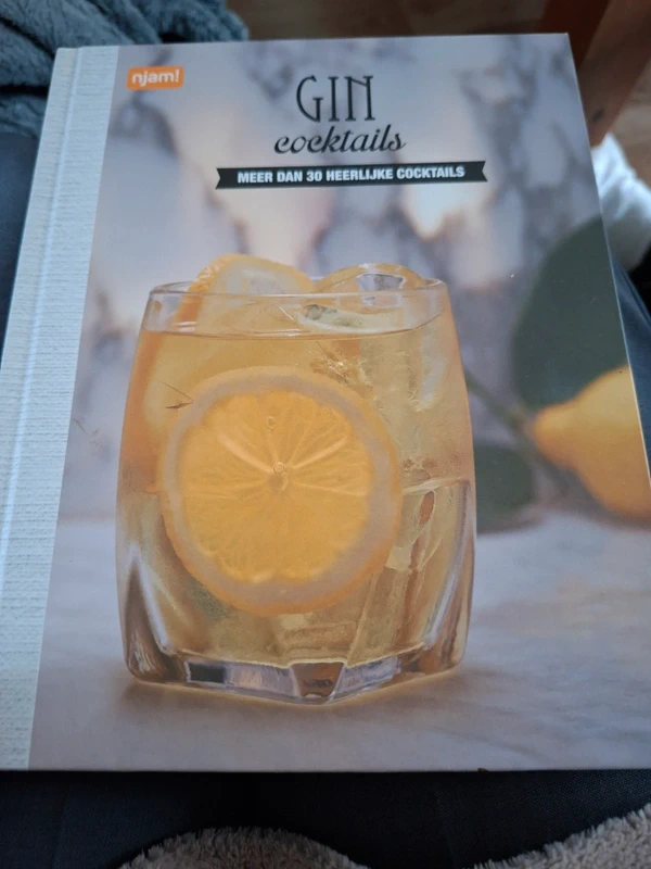 Gin Cocktails – Meer dan 30 heerlijke cocktails
