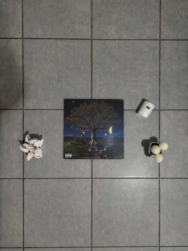 Vinile miria 22 simba