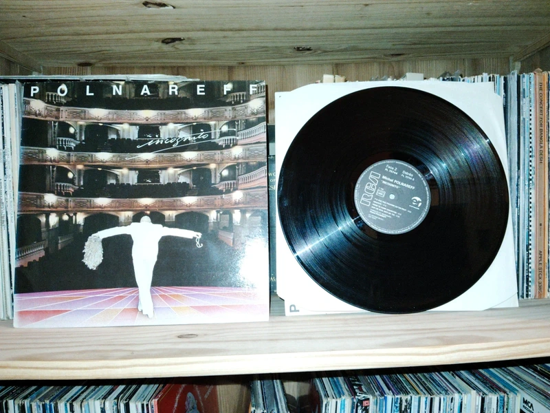 Vinyle Michel Polnareff