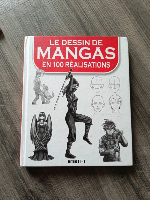 Le dessin de mangas en 100 réalisations