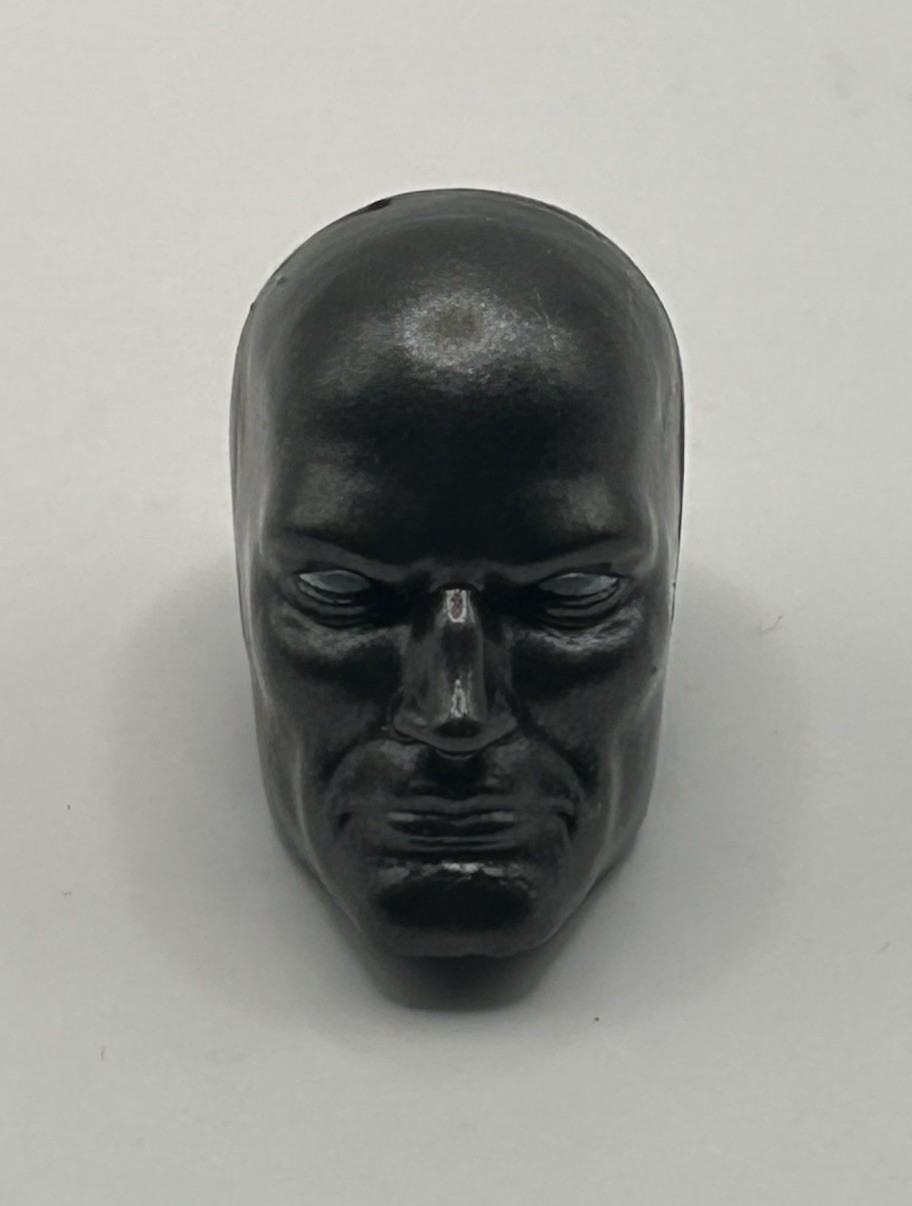 Marvel Legends Series Obsidian Silver Surfer Head Fodder scala 1/12