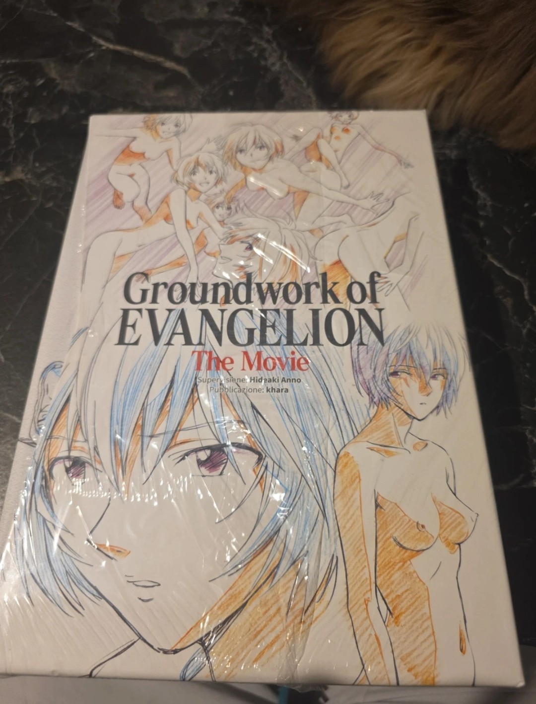 Evangelion Groundwork The Movie volume - Hideaki Anno - Khara