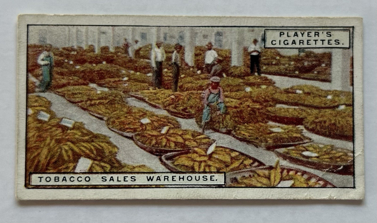 Player’s Tobacco Card Tobacco Sales Warehouse Interior Scene #13 CC5