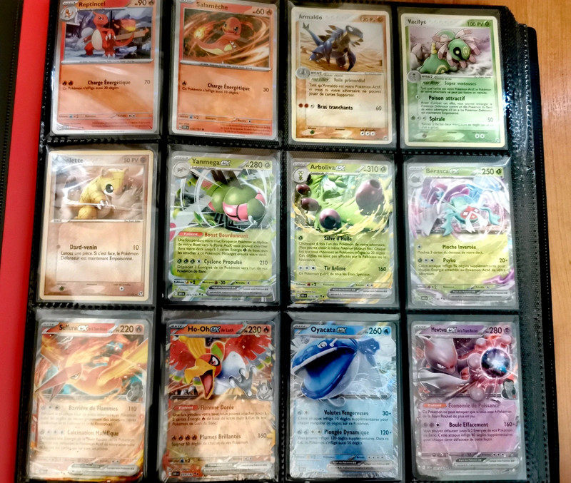 Collection cartes pokemon