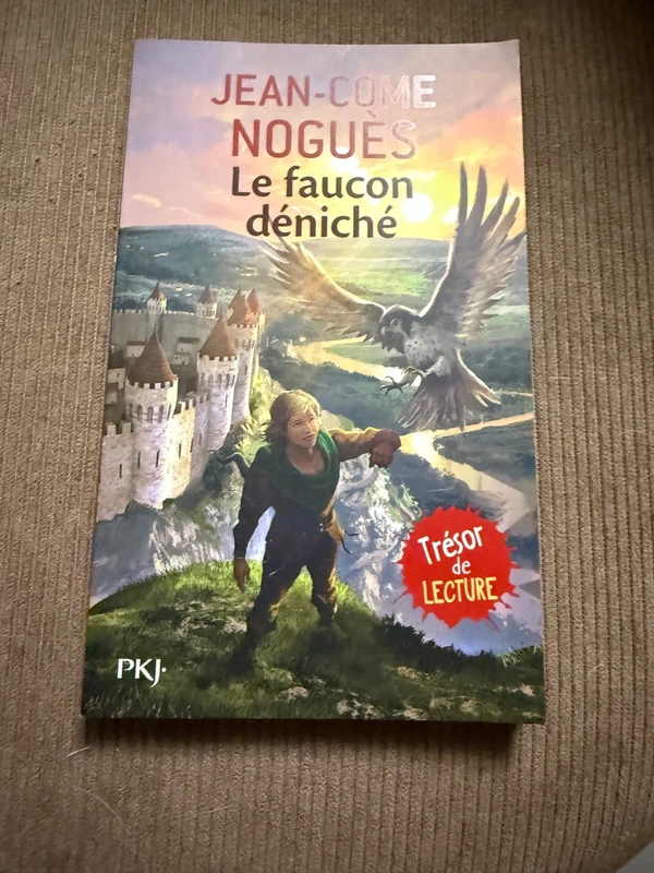 Le Faucon Déniché