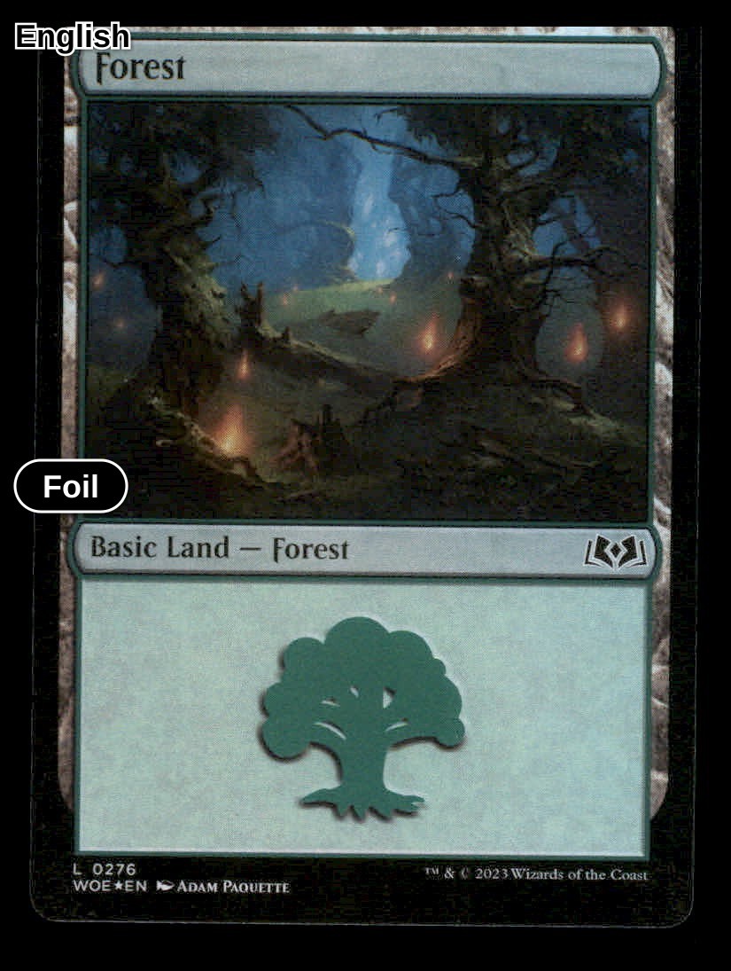 Foil Forest (0276) - Land [276] - Wilds of Eldraine