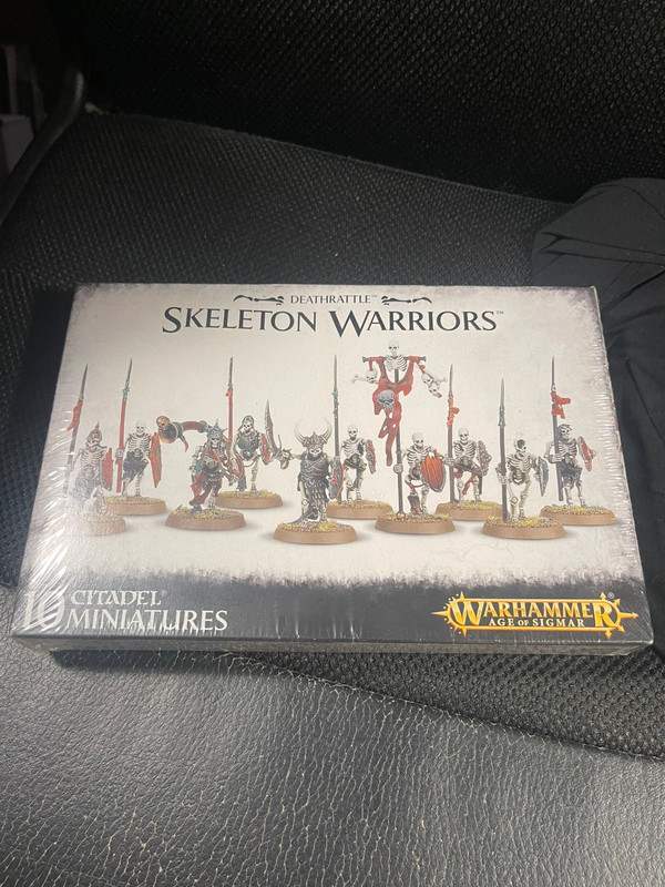 Skeleton Warriors. Warhammer. Age of Sigmar