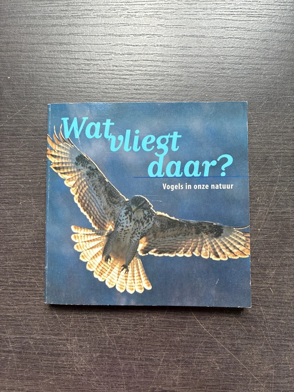 Wat vliegt daar?