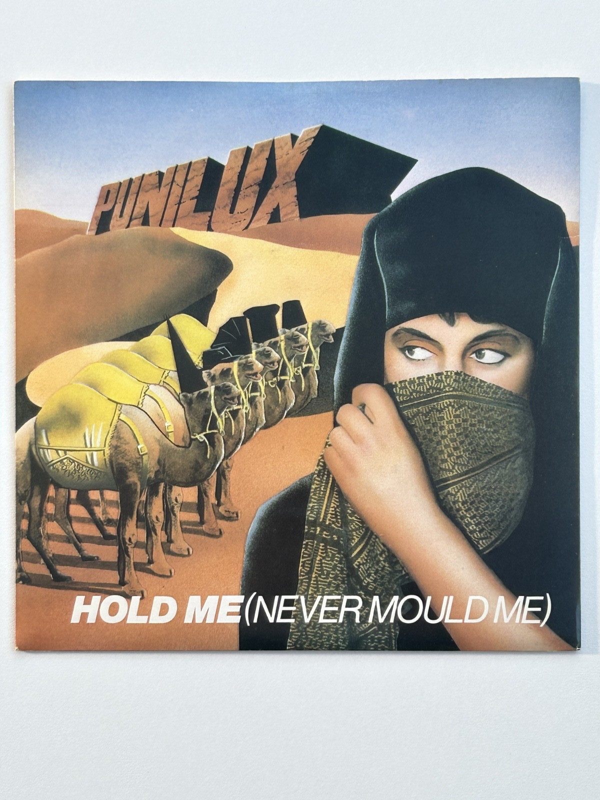 Punilux – Hold Me (Never Mould Me) / Vinyl 7" / UK /VG /Punishment of Luxury