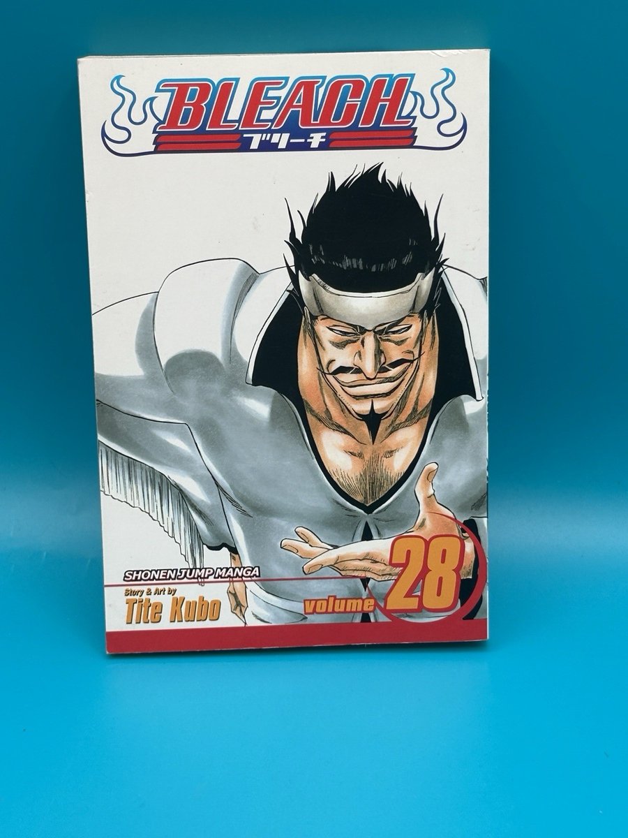 Bleach, Vol. 28 : Baron's Lecture Full-Course, Paperback, 2009