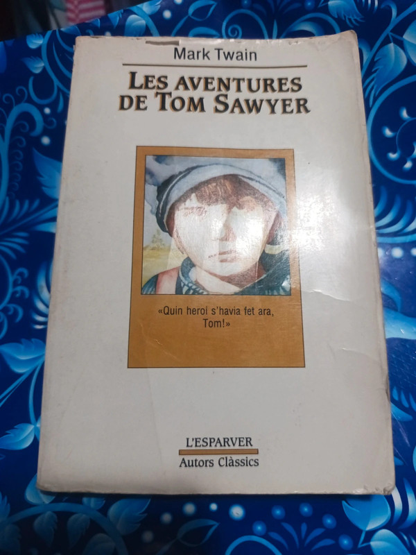 Les aventures de Tom Sawyer llibre
