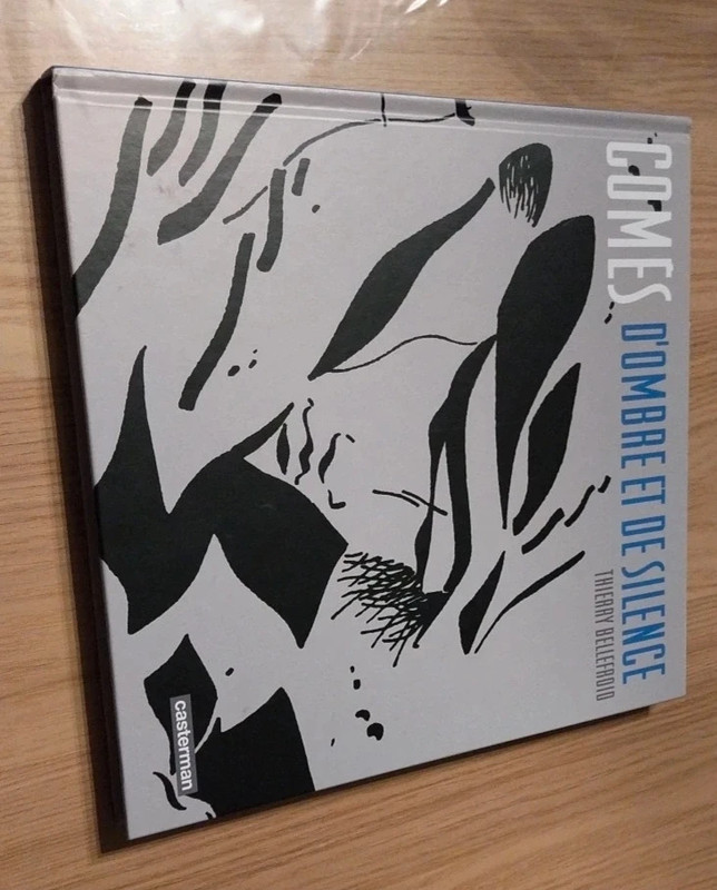 livre comes d ombre et de silence