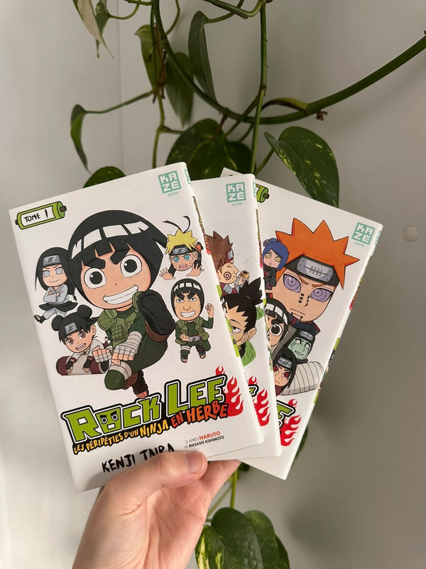 Lot manga Naruto