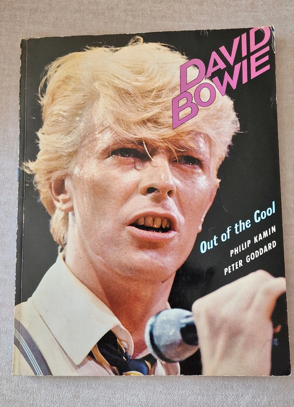 Livro vintag David Bowie