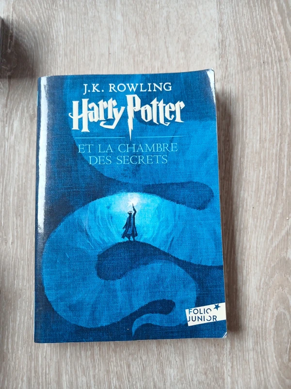 Livre poche Harry Potter 1
