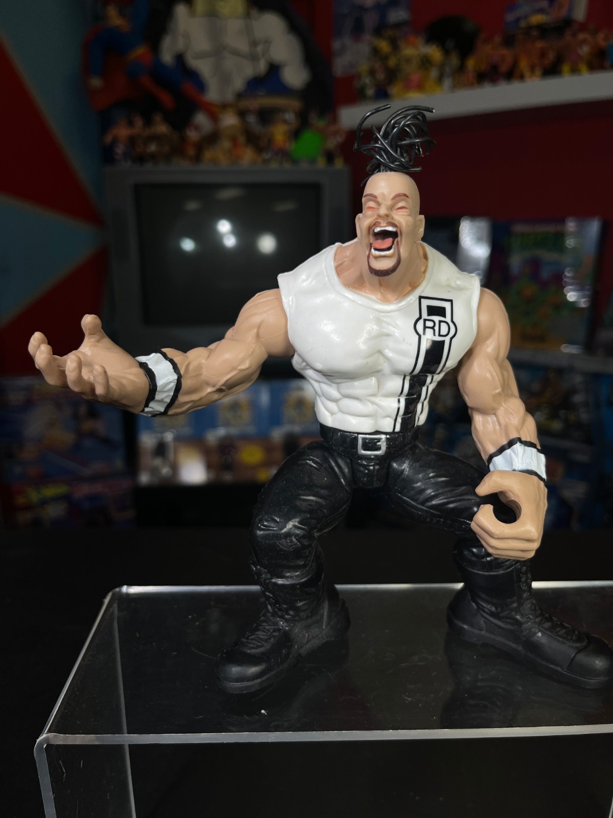 WWE Wrestling Jakks Maximum Sweat Series 4 Road Dogg Figure WWF