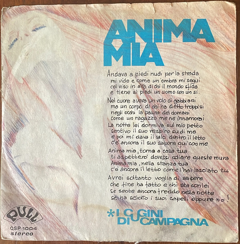 I Cugini di campagna - Anima mia	45''