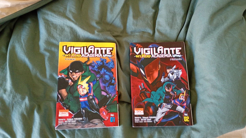 Vigilante-my hero academia illegals