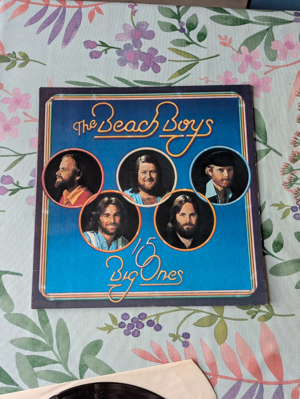 Vinyle The Beach Boys - 15 big ones