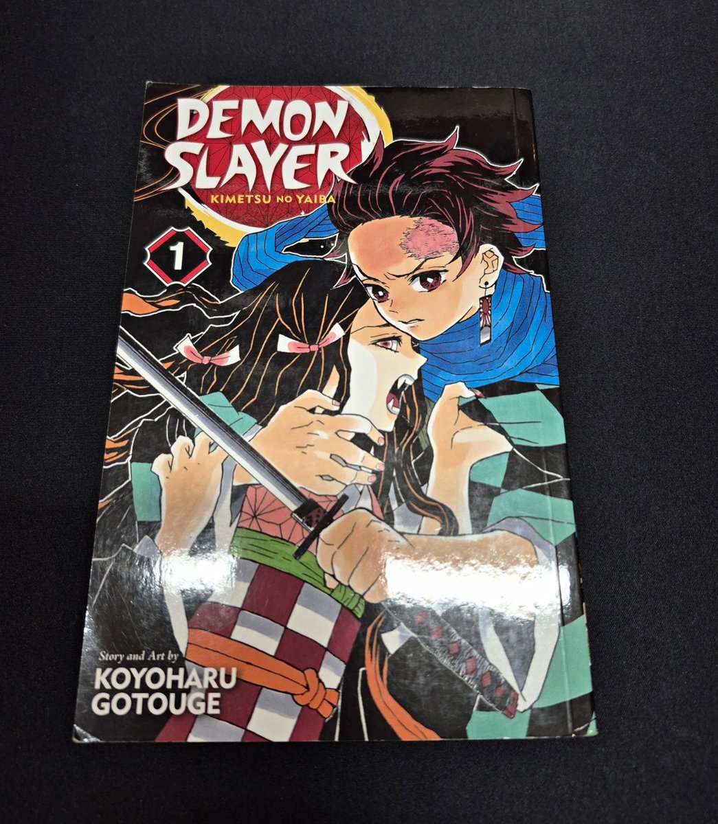 VIZ Media Demon Slayer: Kimetsu no Yaiba Vol. 1 TPB inglese K. Gotouge