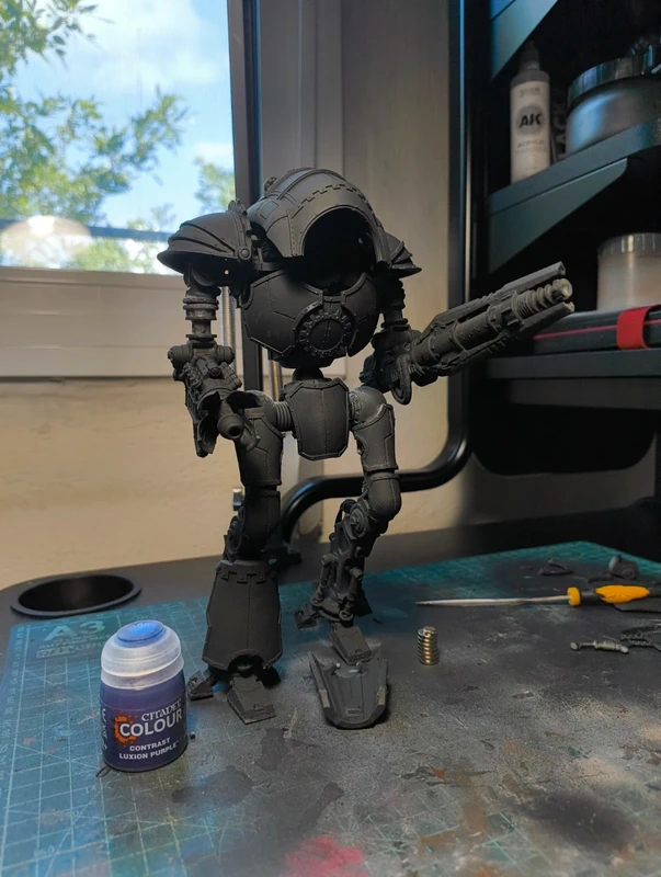 Cerastus lancer