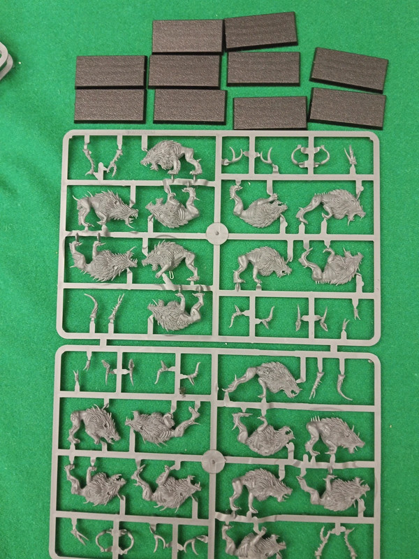 warhammer the old world chaos warriors beastman brayherds 10 hounds