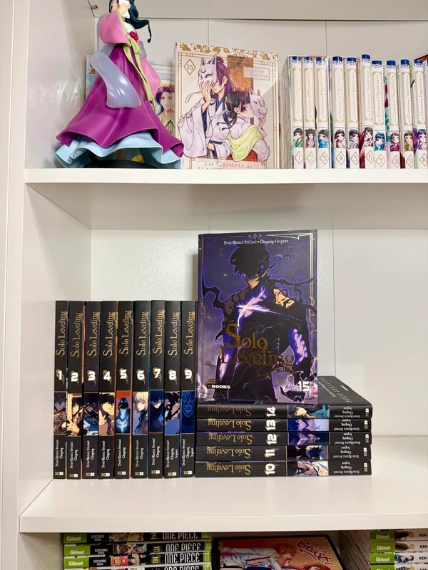 Solo Leveling Tomes 1 à 15 – Manga VF – État neuf