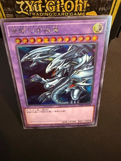 Dragon ultime aux yeux bleus TDPP-JP secret