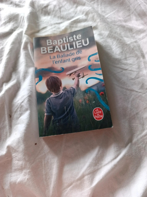 La ballade de l'enfant gris
