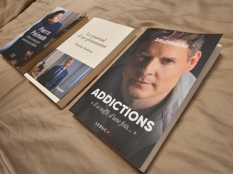 Lot de 3 livres roman auteur addictions le journal d'un prisonnier pierre palmade