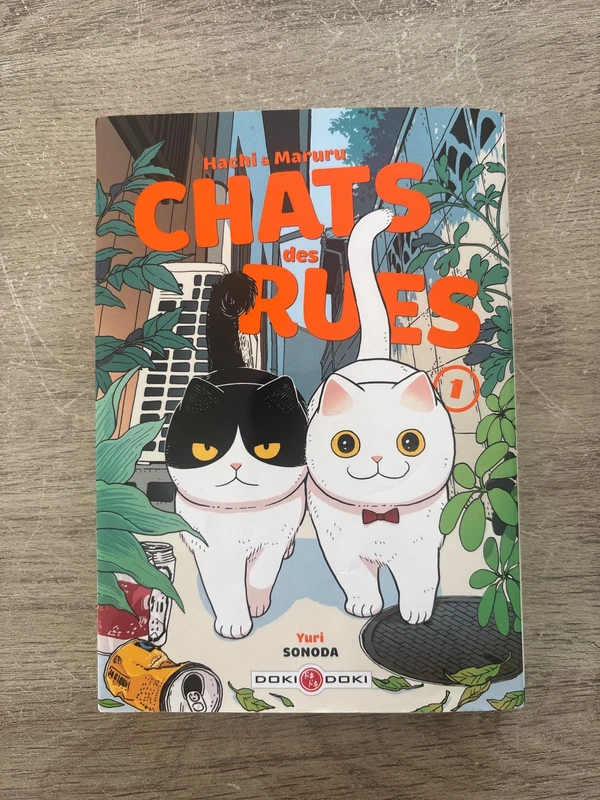 Chats des rues