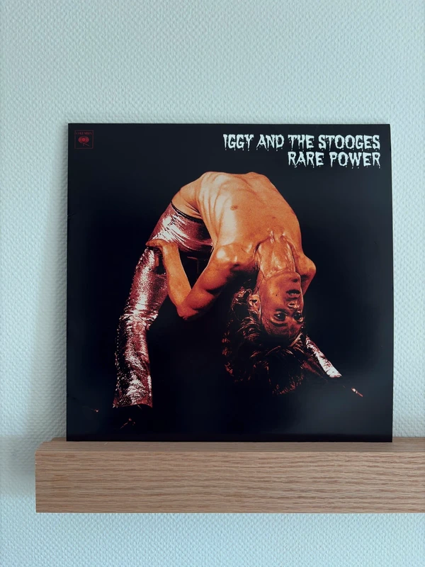 Rare Power - Iggy & the Stooges