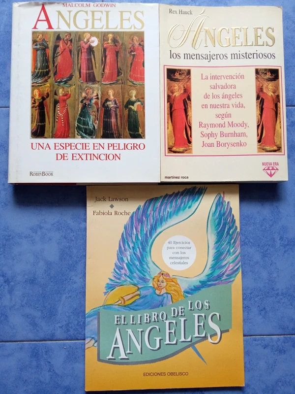 Lote 3 libros Ángeles / Mensajeros misteriosos / Especie peligro extinción