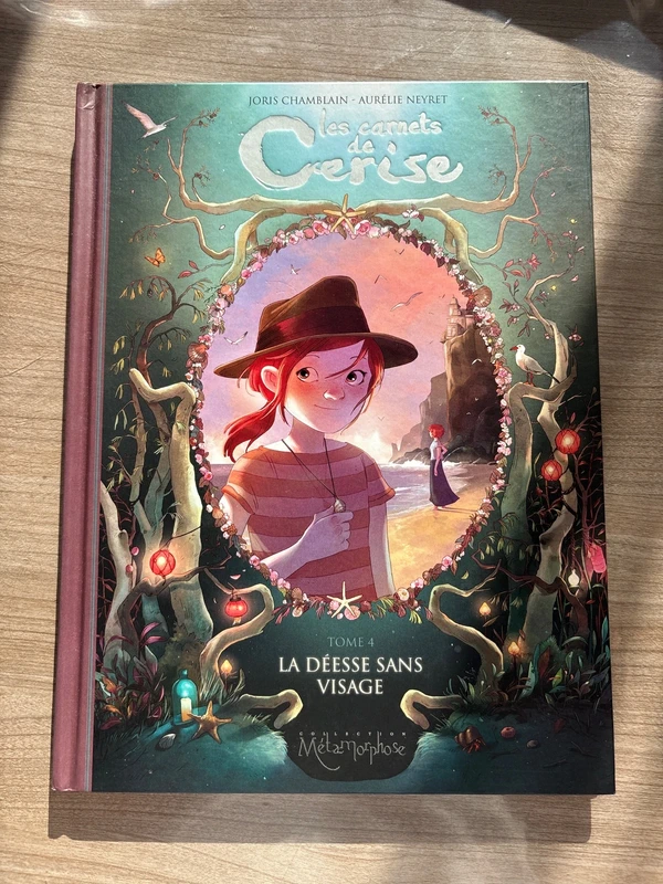 Les carnets de Cerise tome 4