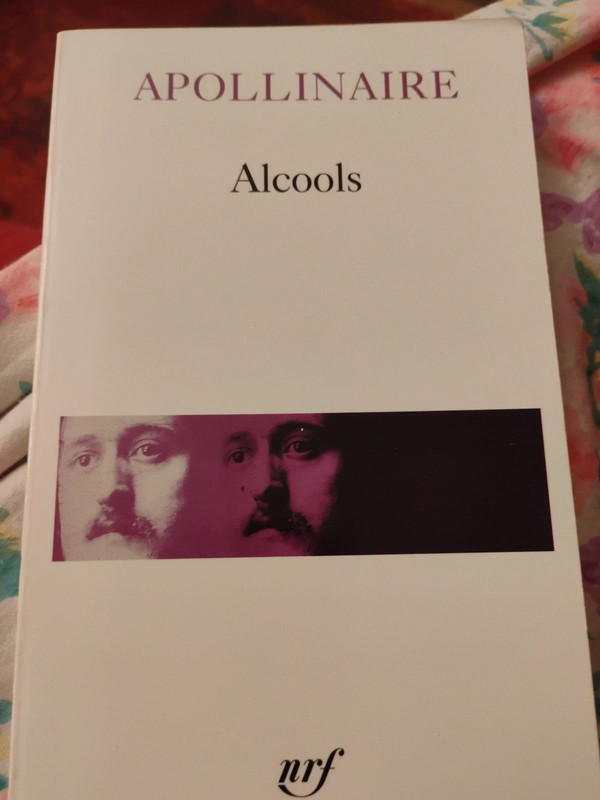 Poésies Alcool d'Apollinaire