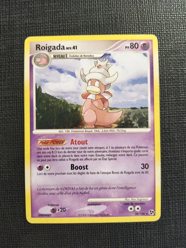 Roigada 28/106