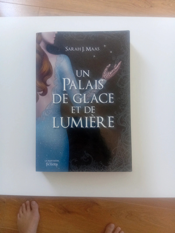 Un palais de glace et de lumière