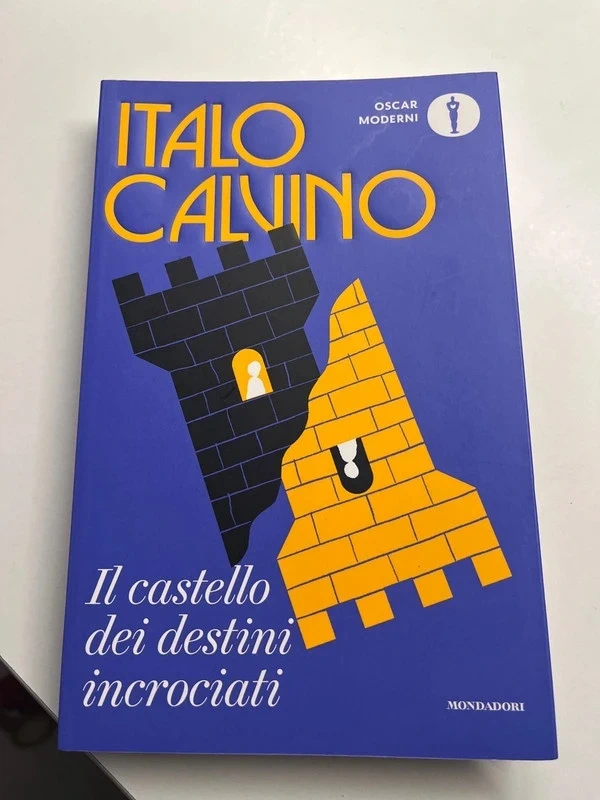 libro il castello dei destini incrociati