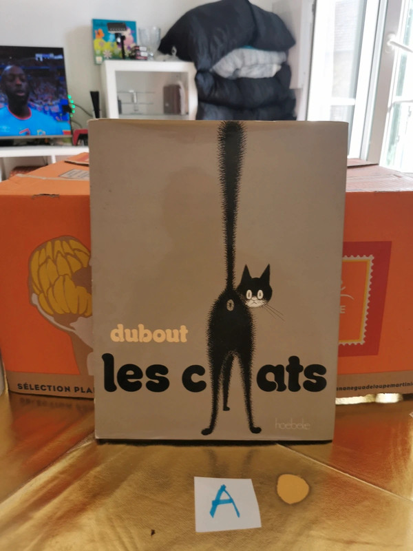 Les chats dubout
