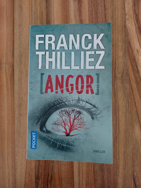 Angor / Franck Thilliez